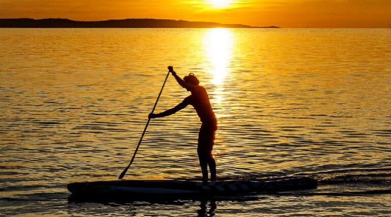 Stand up paddle